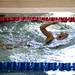 A young swimmer practices in a lap pool before competing on Tuesday, July 23. Daniel Brenner I AnnArbor.com